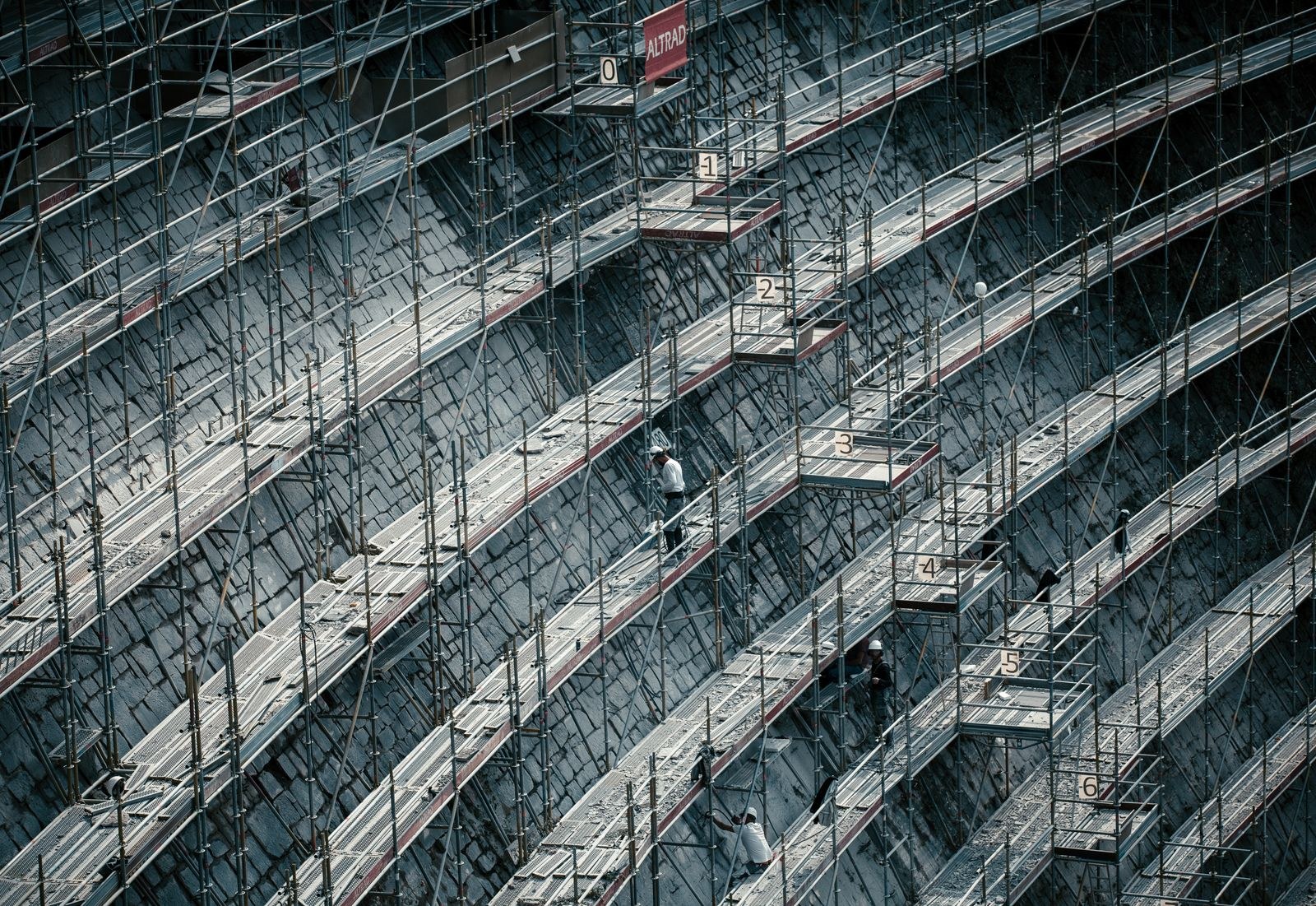 Construction & Project Services — leadership and oversight
